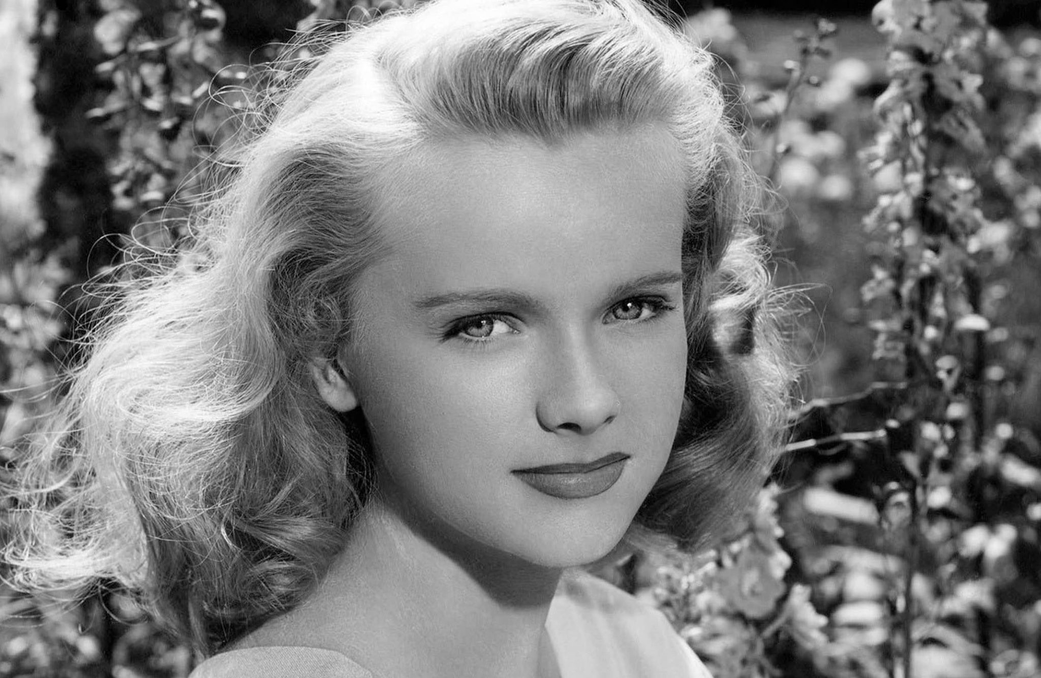 Did Anne Francis Have Plastic Surgery? Everything You Need To Know ...