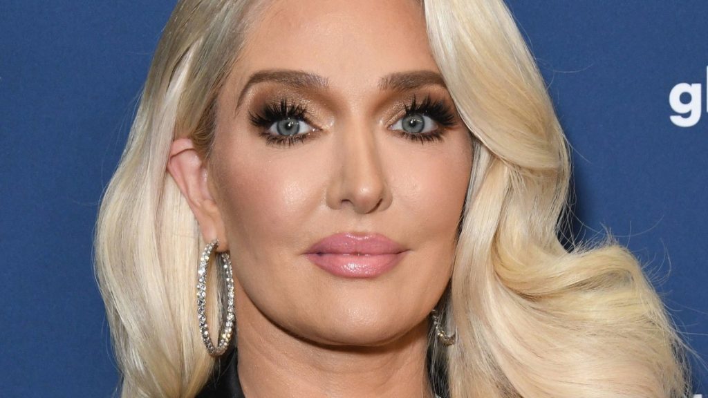 Erika Jayne Plastic Surgery: Nose Job and Botox - Plastic Surgery Bio