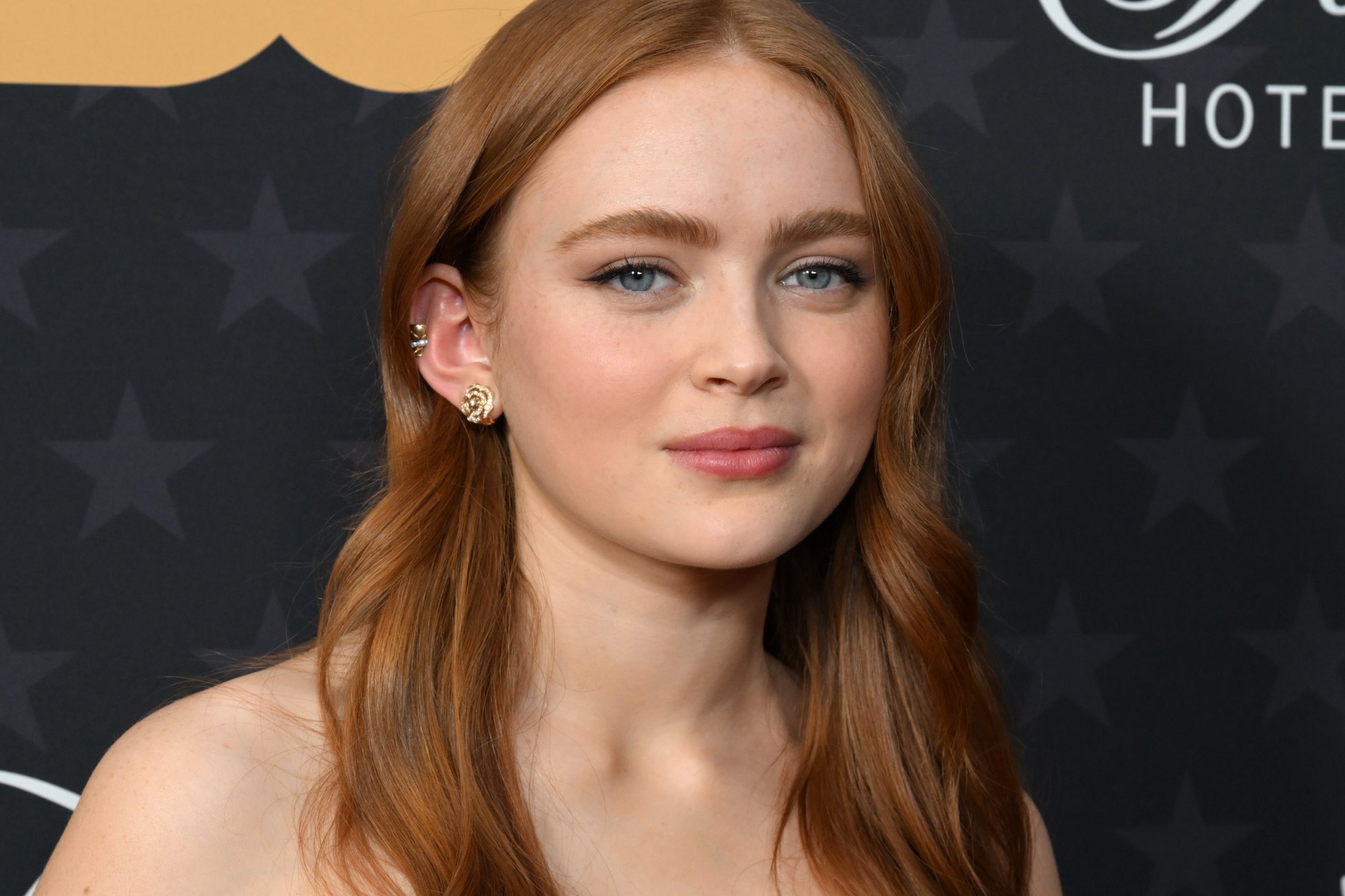 Sadie Sink’s Journey: Debunking Plastic Surgery Rumors and The Truth